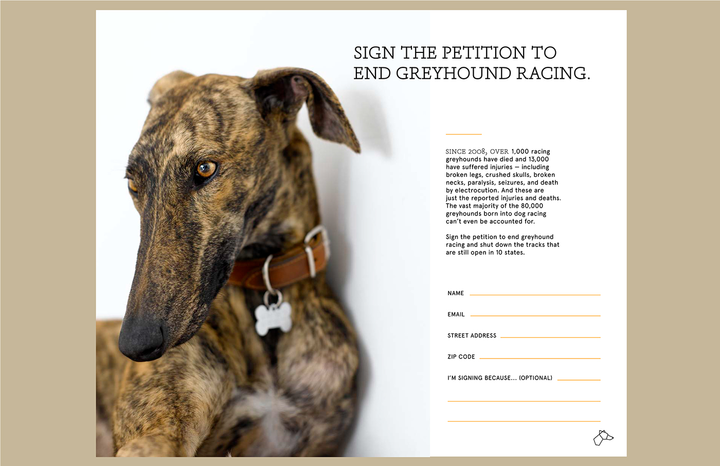 Greyhound Racing branding  Advertising 