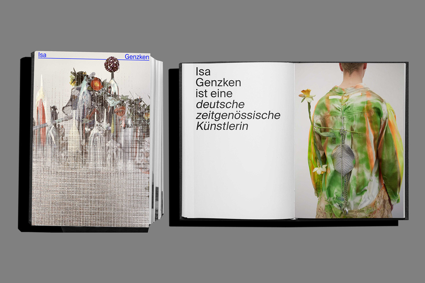 isa genzken Grafik Design graphic design  grafica editorial book design publication