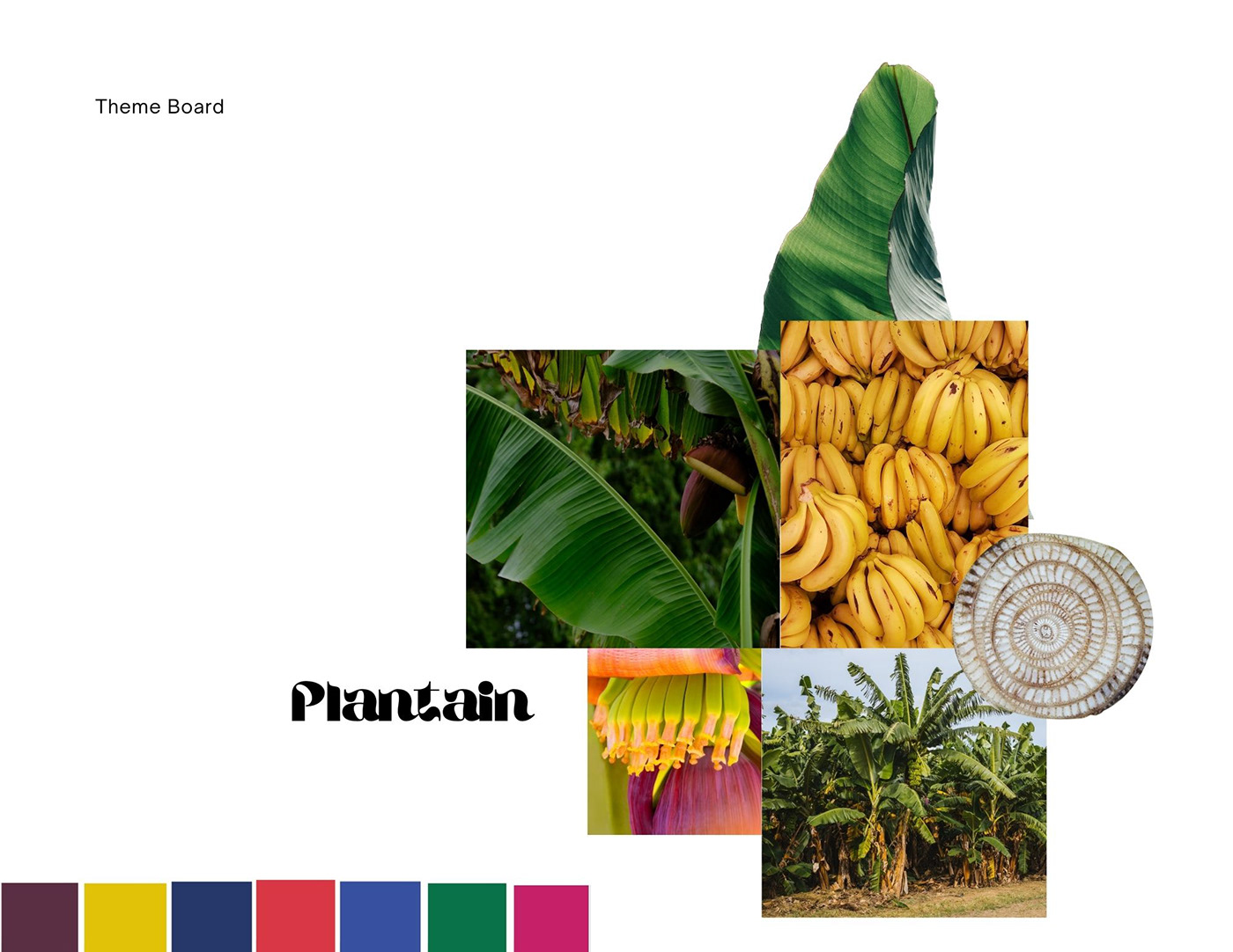 banana jodi life pattern Plantain print print collection repeats textile