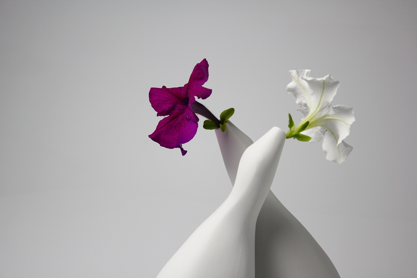 porcelain Vase ceramics  flower Embrace hug