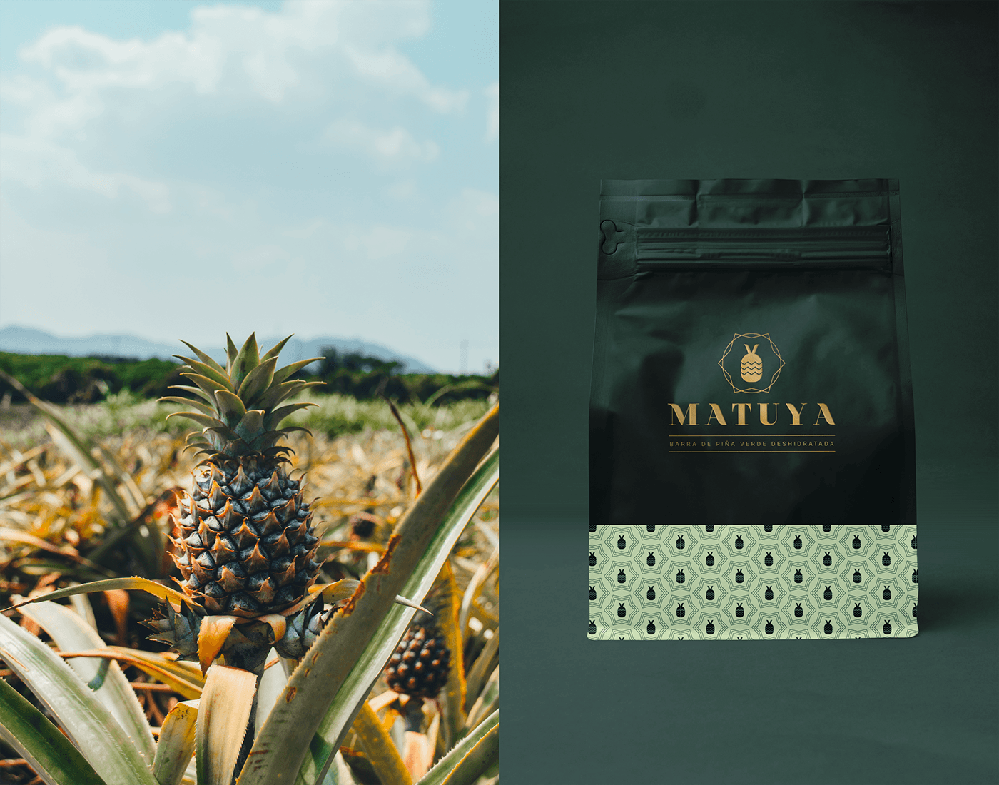 Collateral design for a pineapple brand