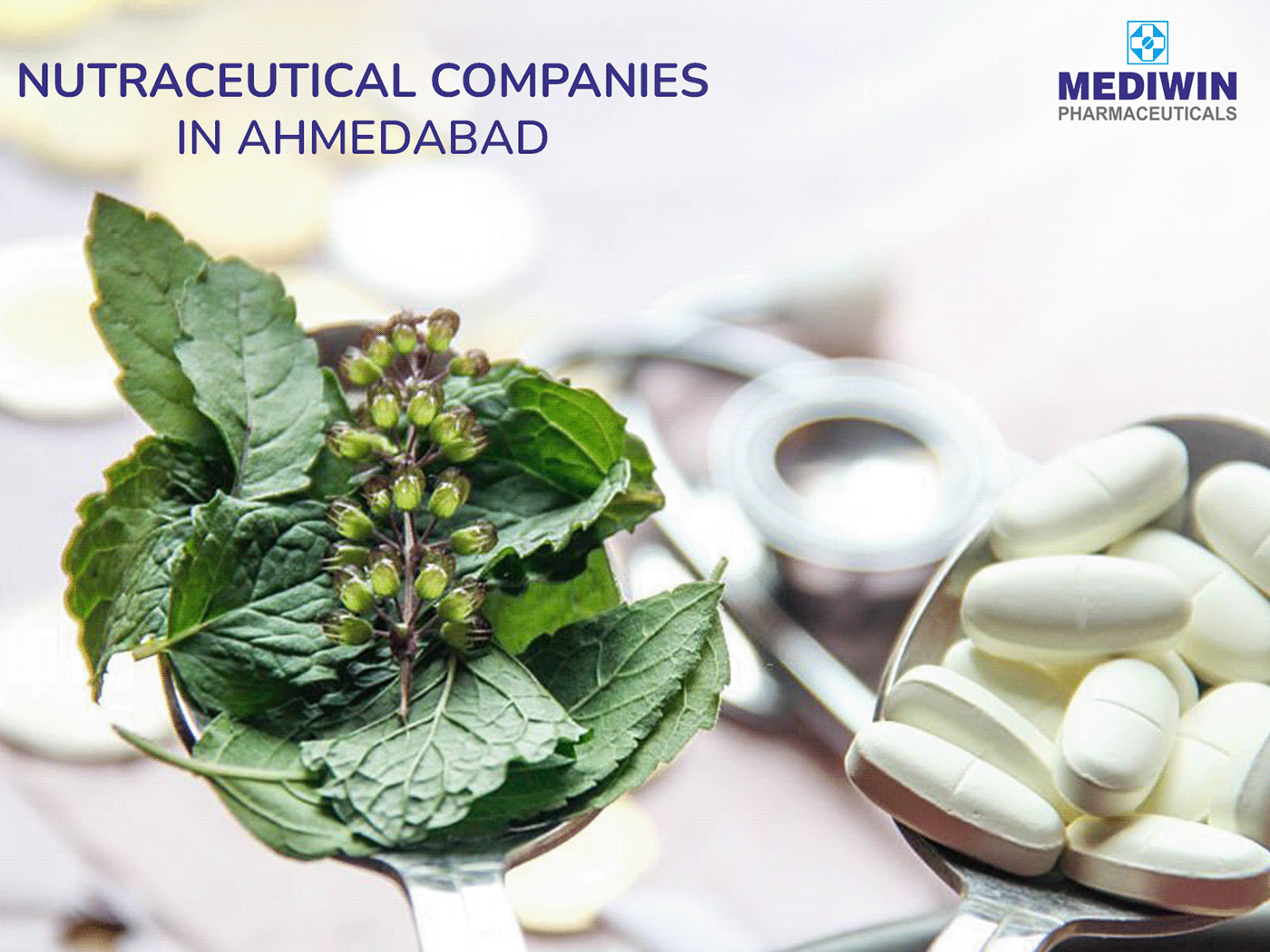 nutraceutical companies Nutraceutical Products