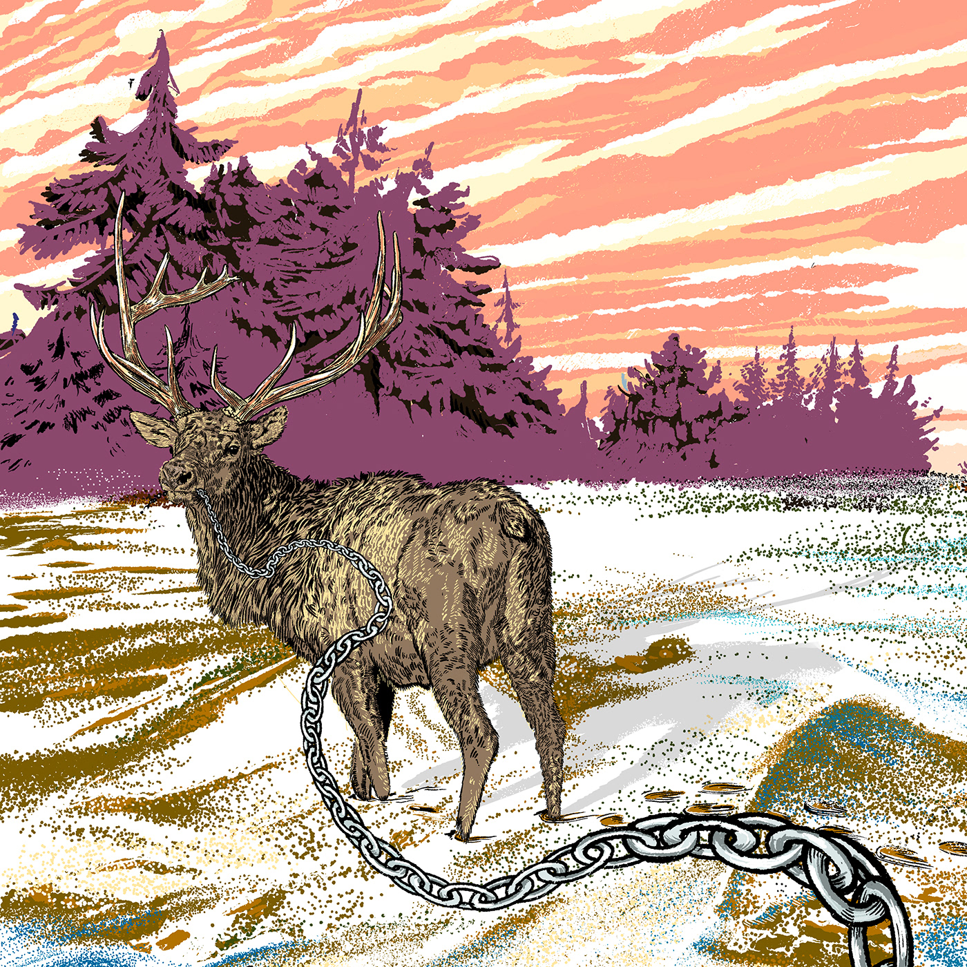 band poster Drawing  elk ILLUSTRATION  Jawbone music poster show poster sled tundra venue poster