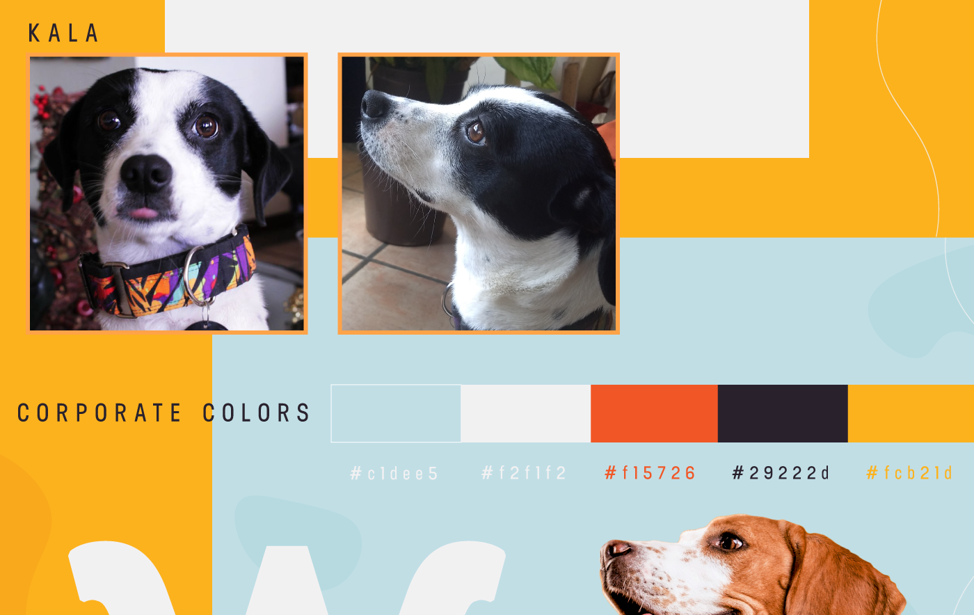 art branding  design dogs graphic design  logo pets visual identity