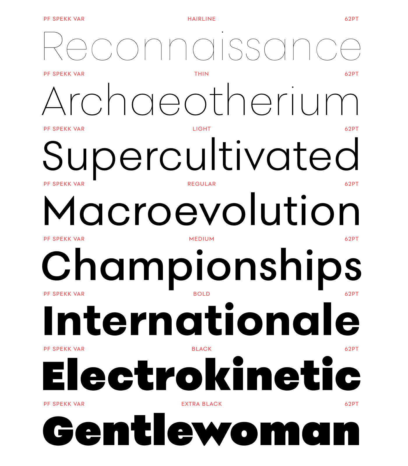 corporate font geometric magazine sans Typeface unconventional variable versatile warm