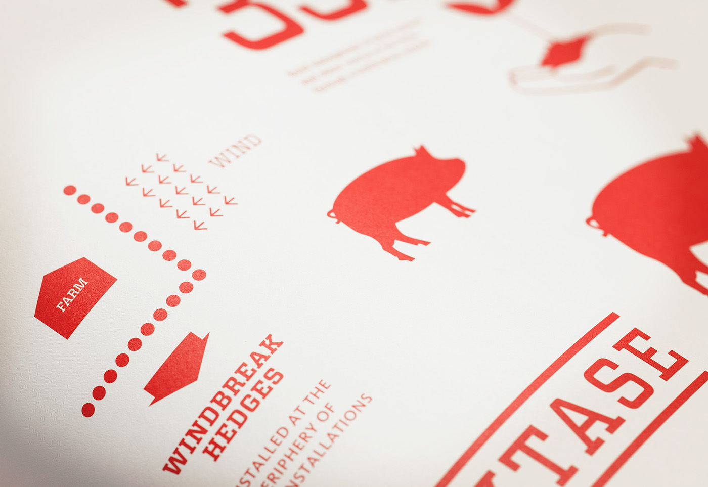 Food  pork Retail logo stationary butcher meat family tradition