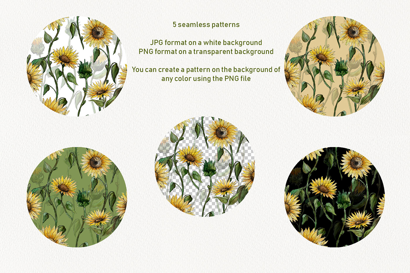 watercolor sunflower Collection set hand drawn summer pattern frame Flowers yellow
