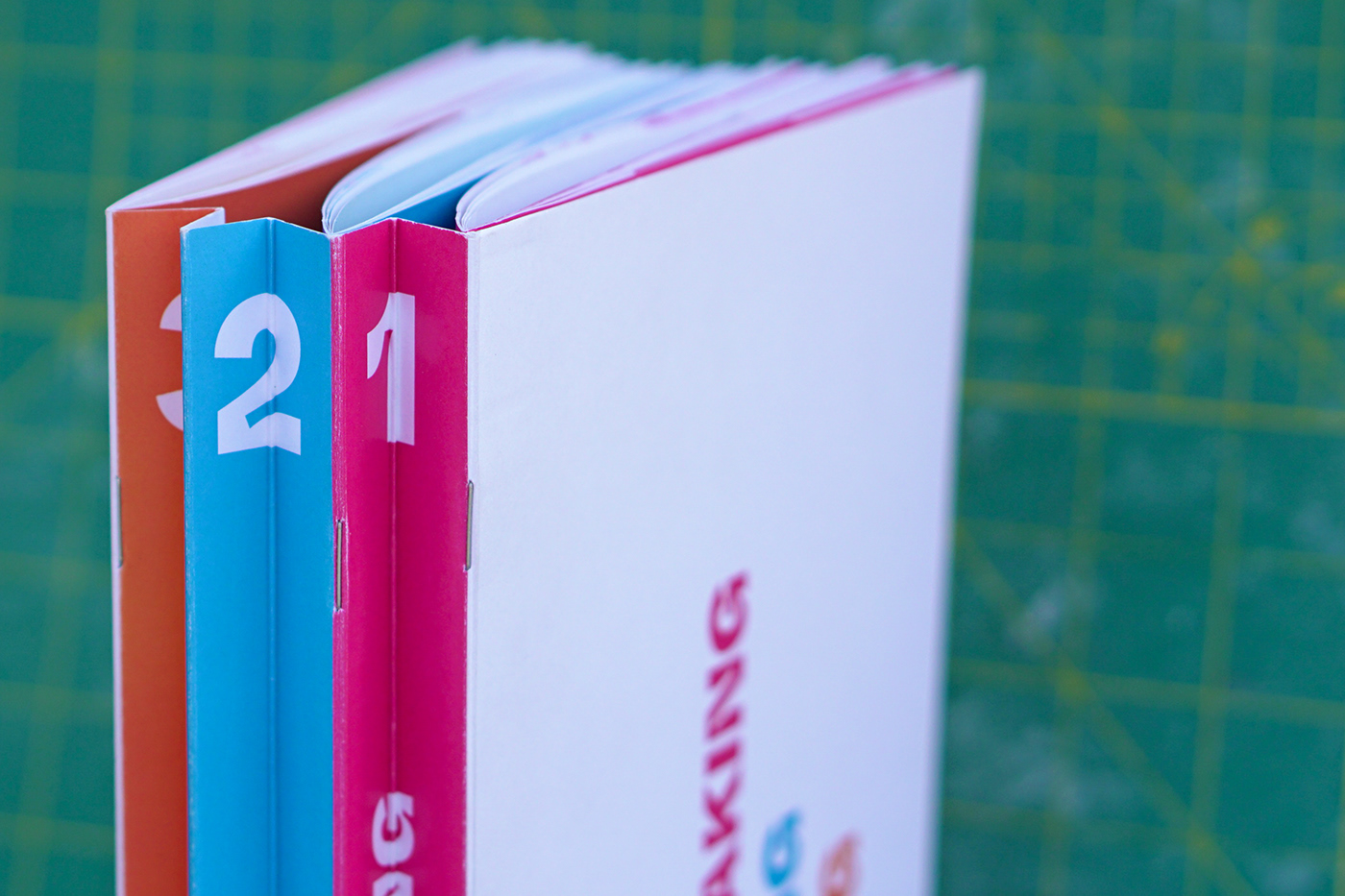 booklet design editorial design  graphic design  publication design type typography  
