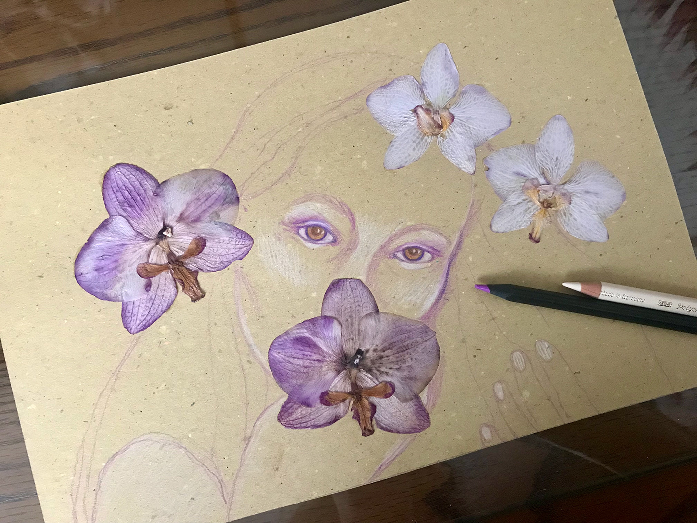Drawing  feminine floral pressed flowers