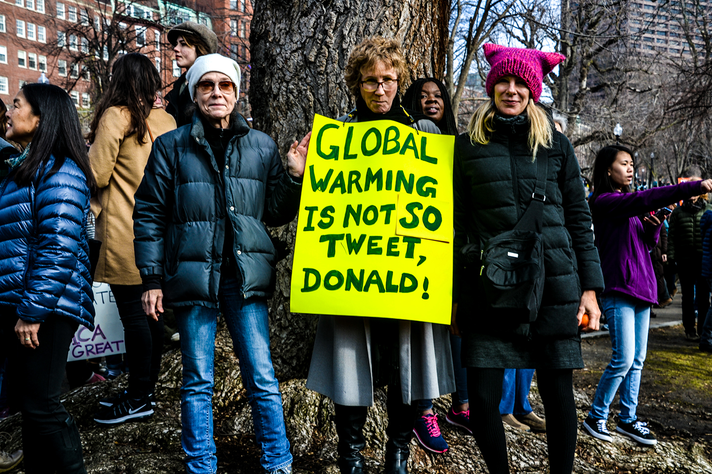 political protest signs anti-trump anti-racism equality community mobilization voices
