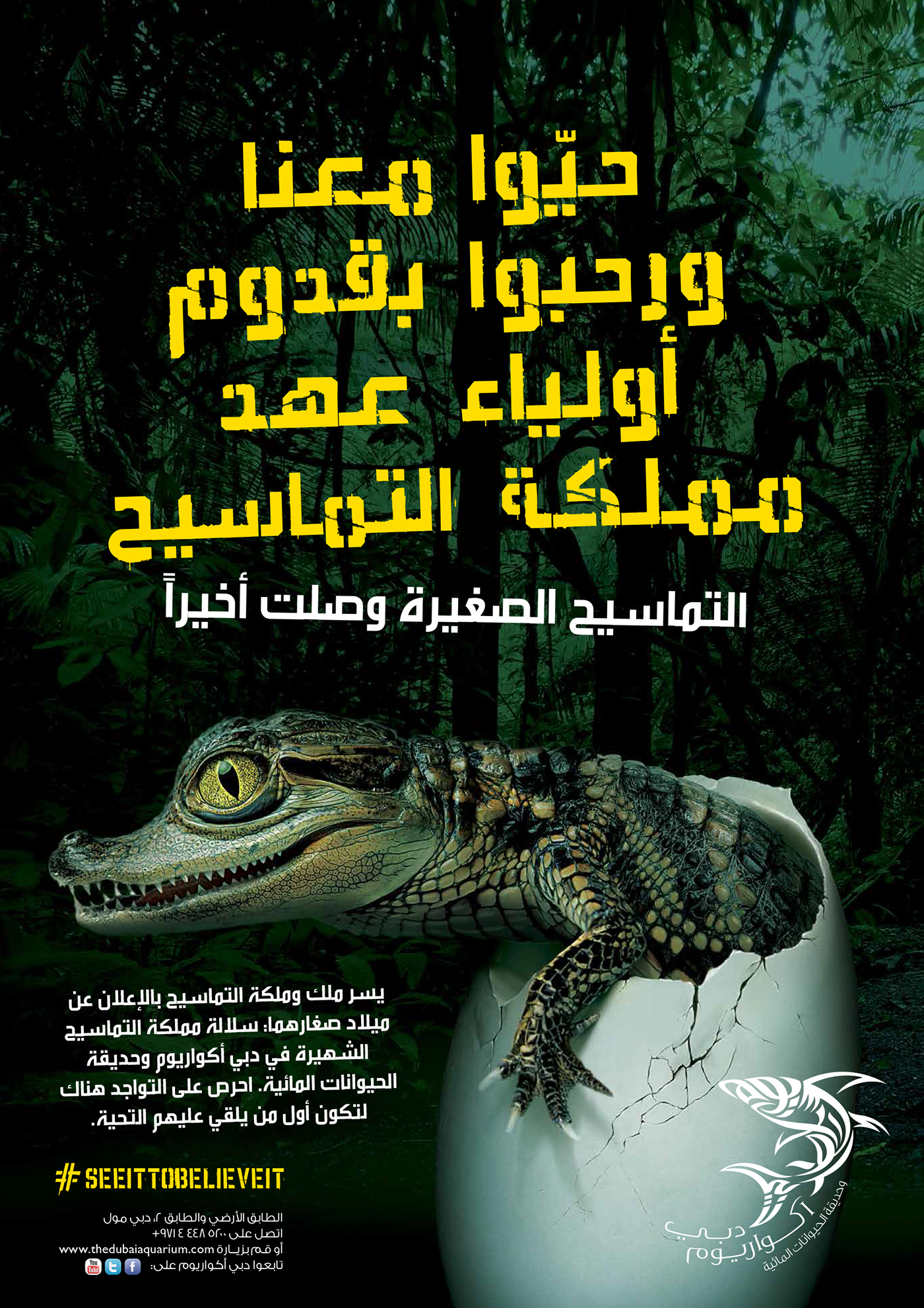 Dubai aquarium Baby crocs little crocs duaa Abzeed doart forest crocodile Emaar dubai