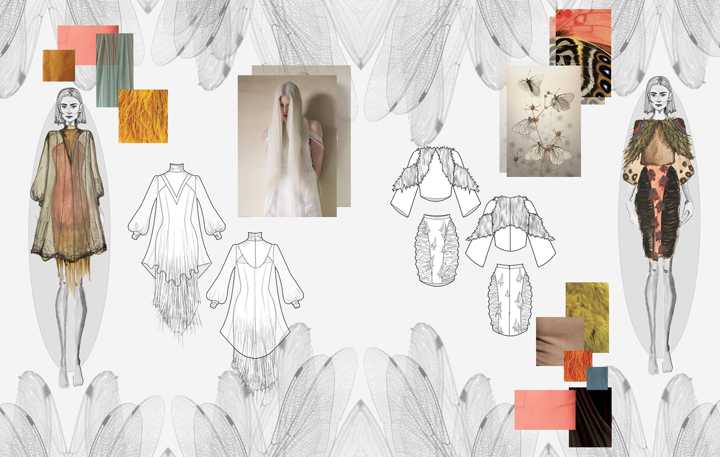 Fashion  design Layout graphic design  ILLUSTRATION  color moth