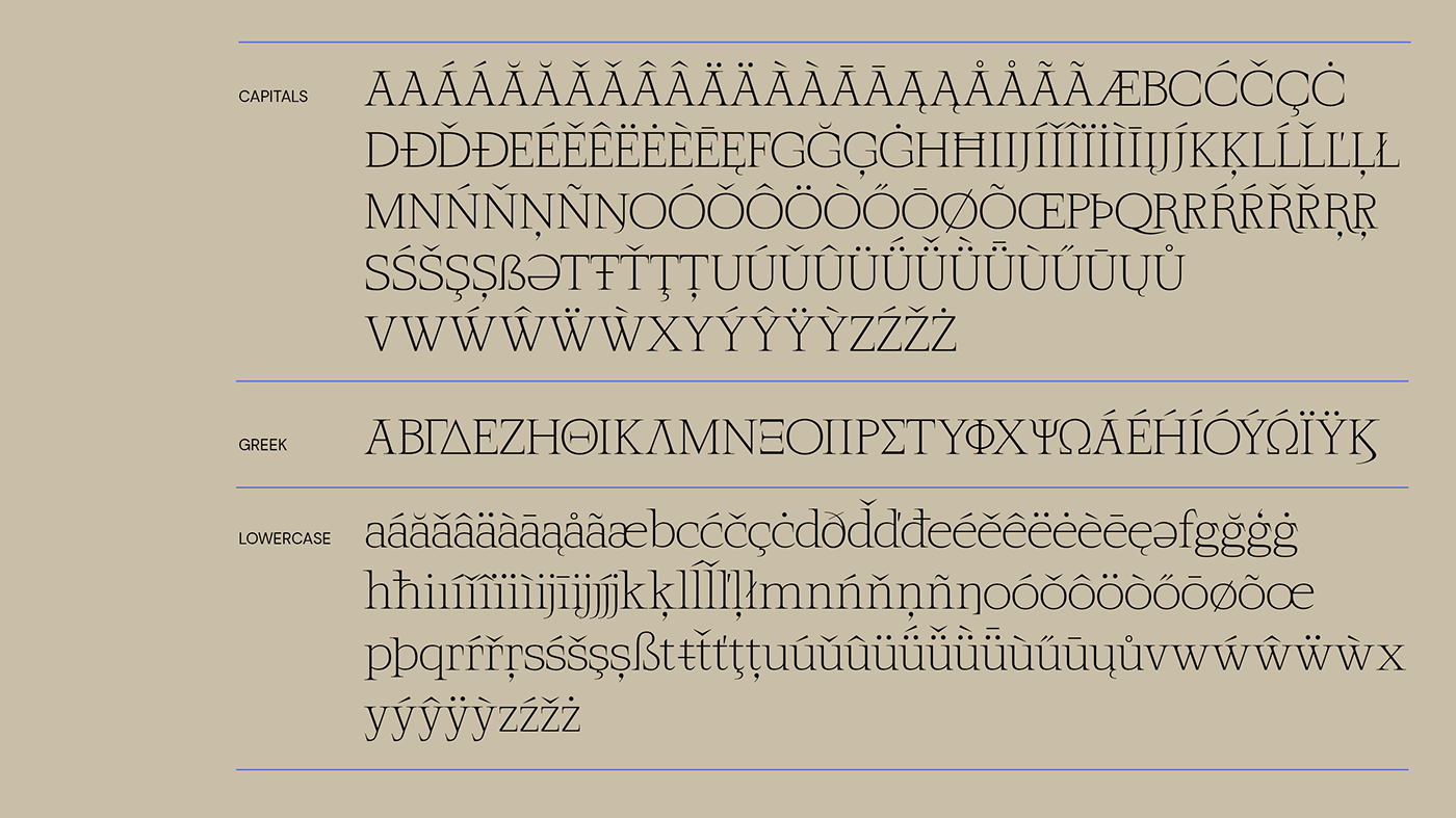 font fonts graphic graphic design  serif type type design Typeface typo typography  