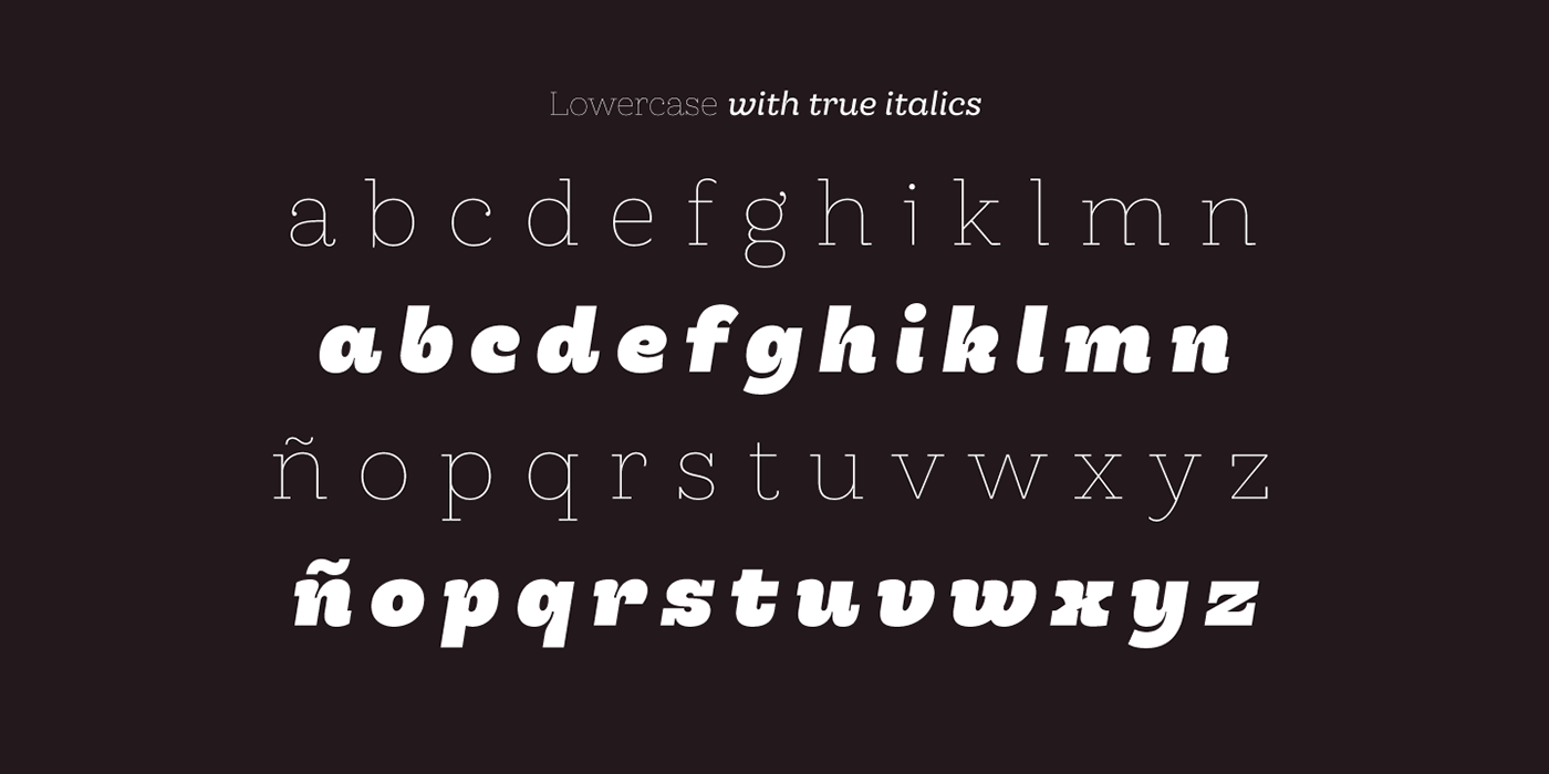 Typeface Display sexy woodtype brand logo slab