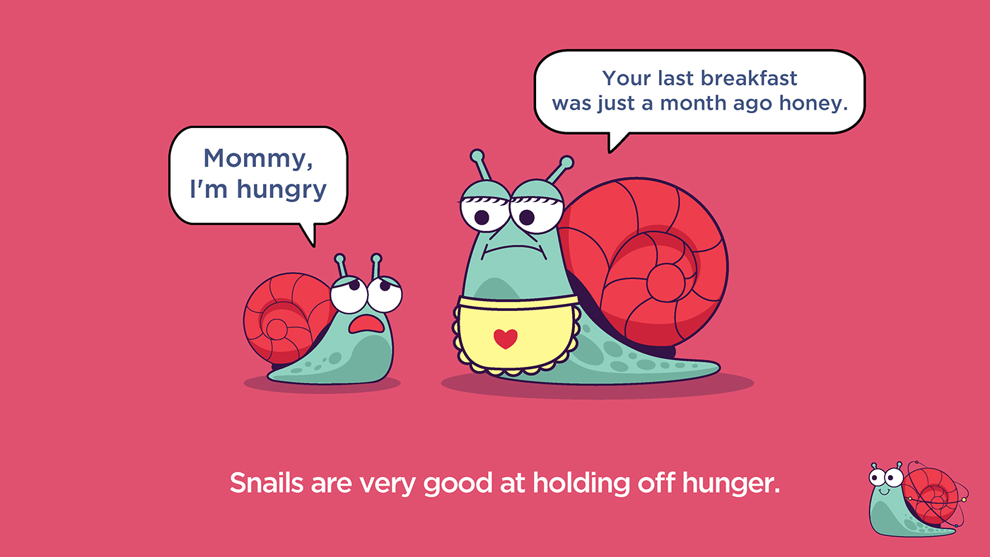 snail ILLUSTRATION  Character design  kid illustration