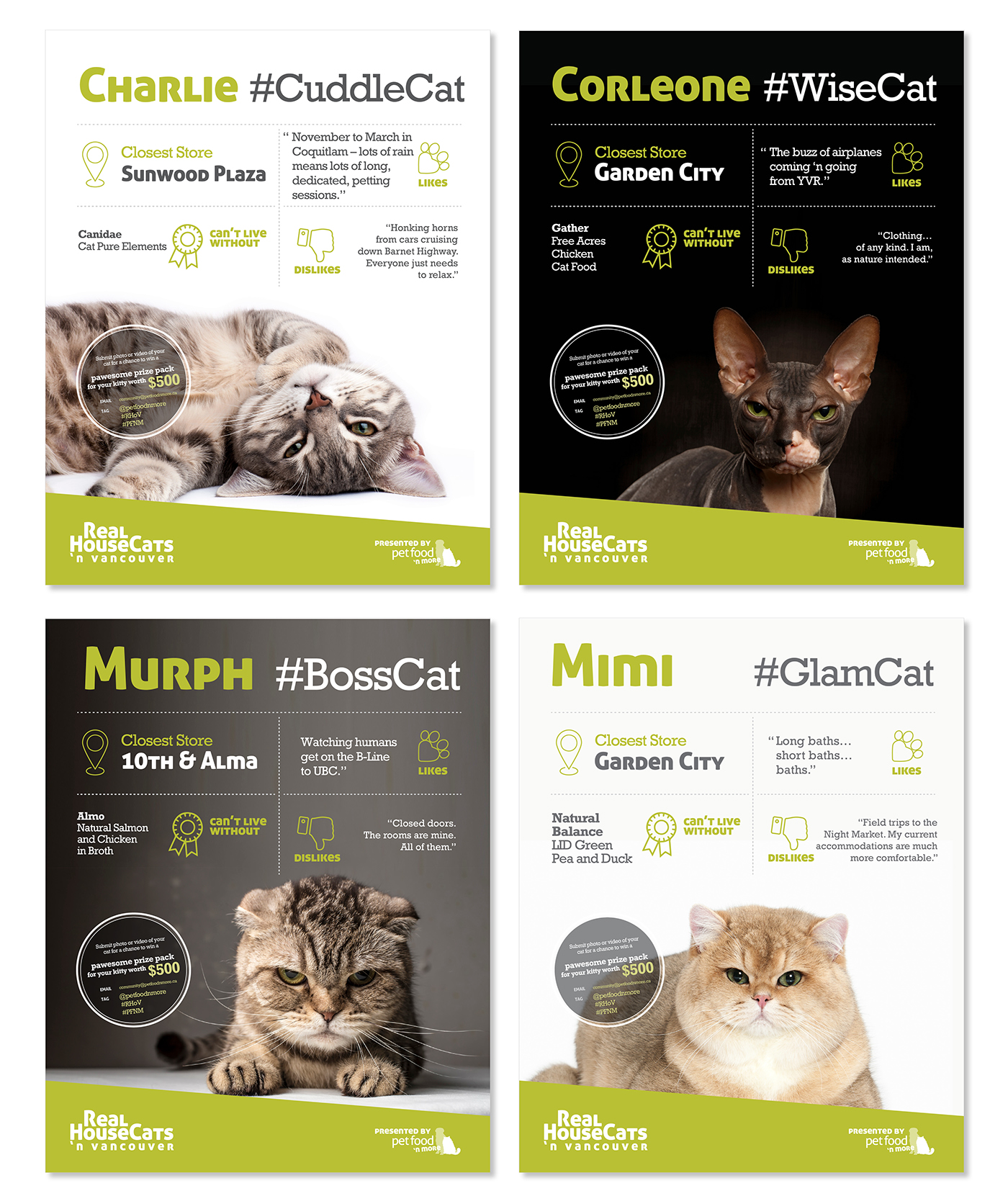 poster brochure tri-fold Photography  stock photography pets cats dogs microchip Packaging