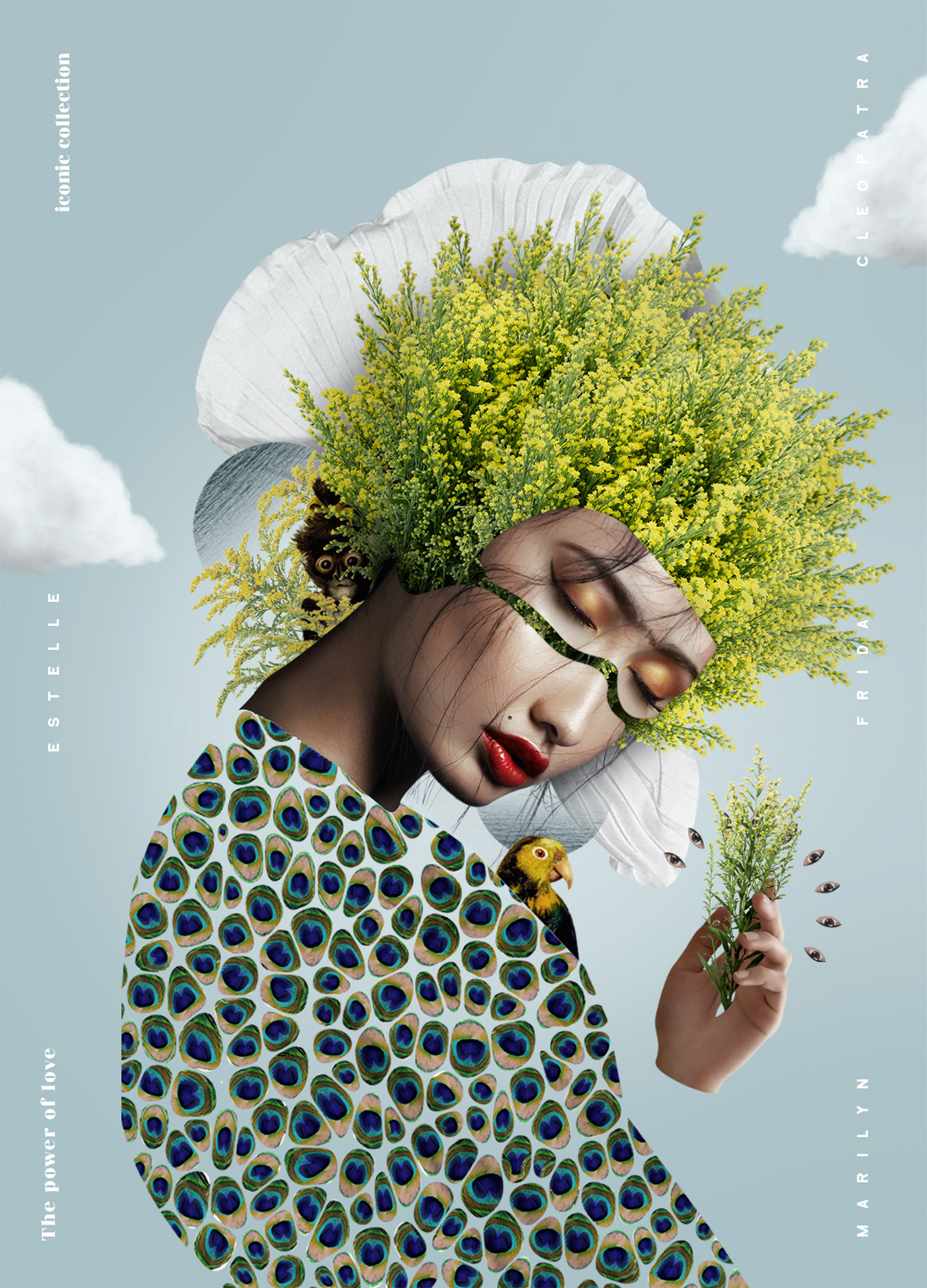 frida Flowers design ILLUSTRATION  photoshop Illustrator art direction colombia medellin