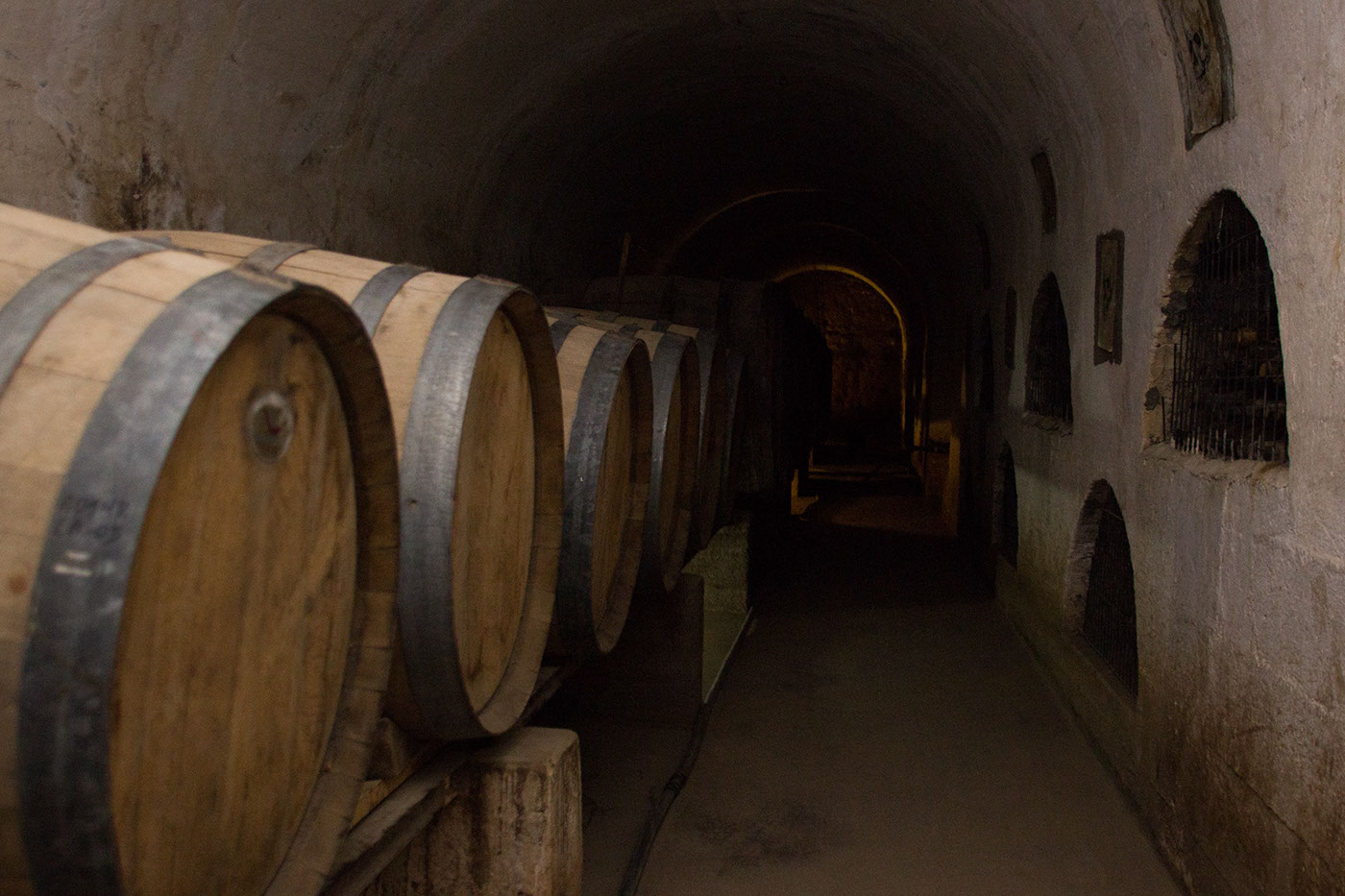 wine vino pisco chile valle del elqui Travel viaje