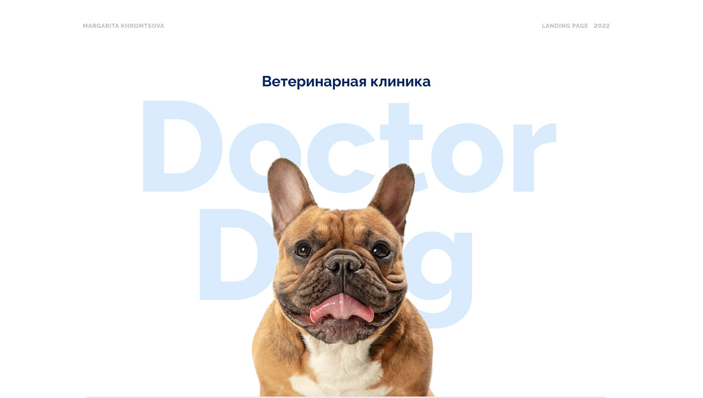 animal clinic dog landing page Pet vet Web Design  Website landing web site