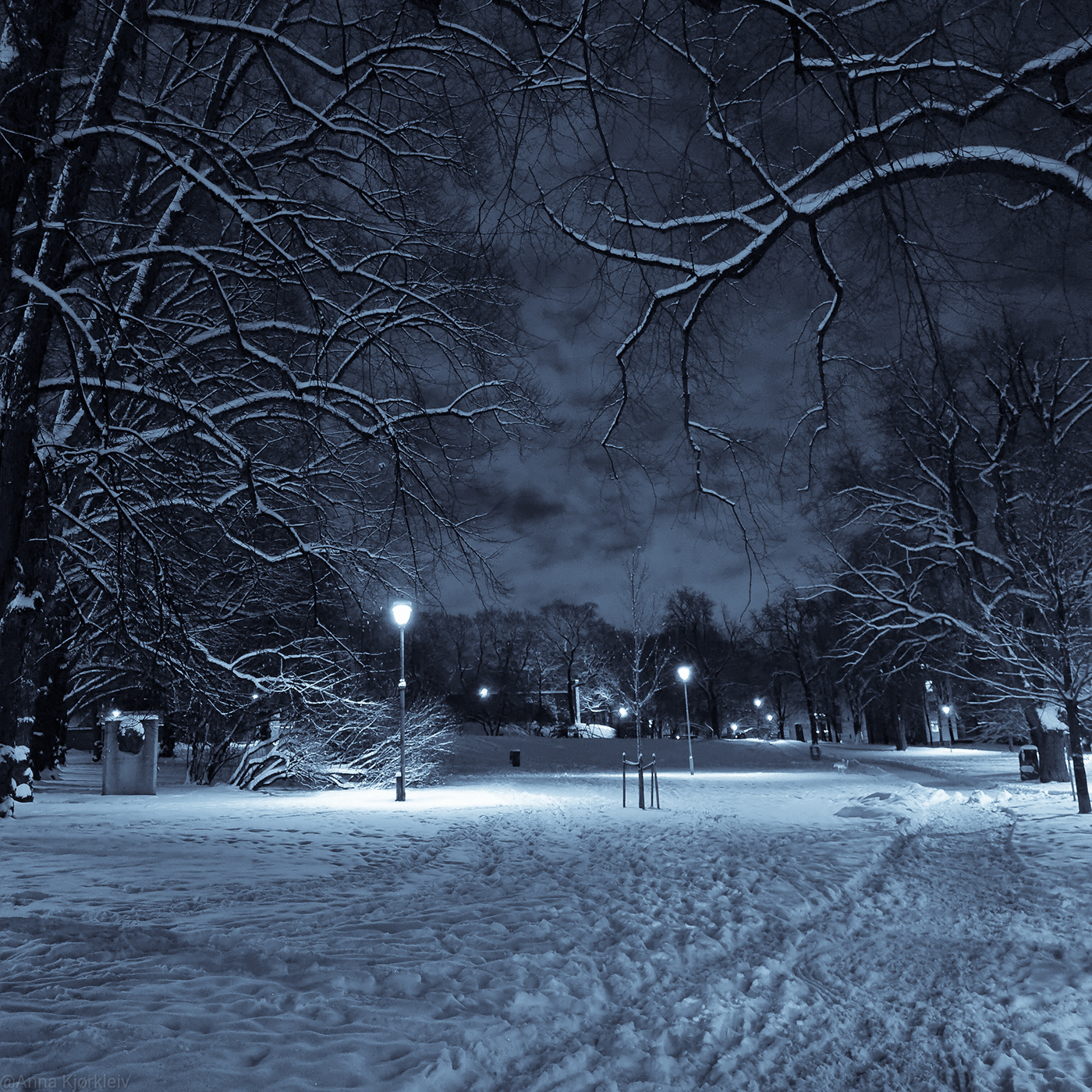 Photography  Landscape cityscape city Park norway winter Evening calm night Samsung mobilephoto mobilphotography oslo