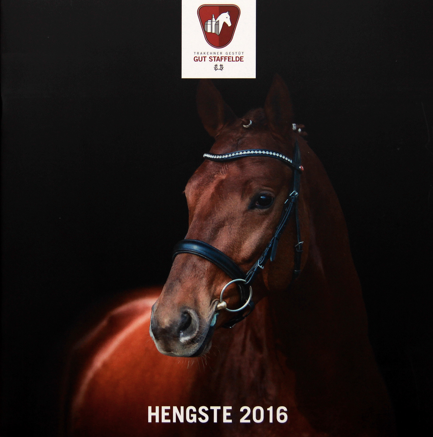 Pferd Gestüt Pferdegut Hengste broschure brochure magazine magazin