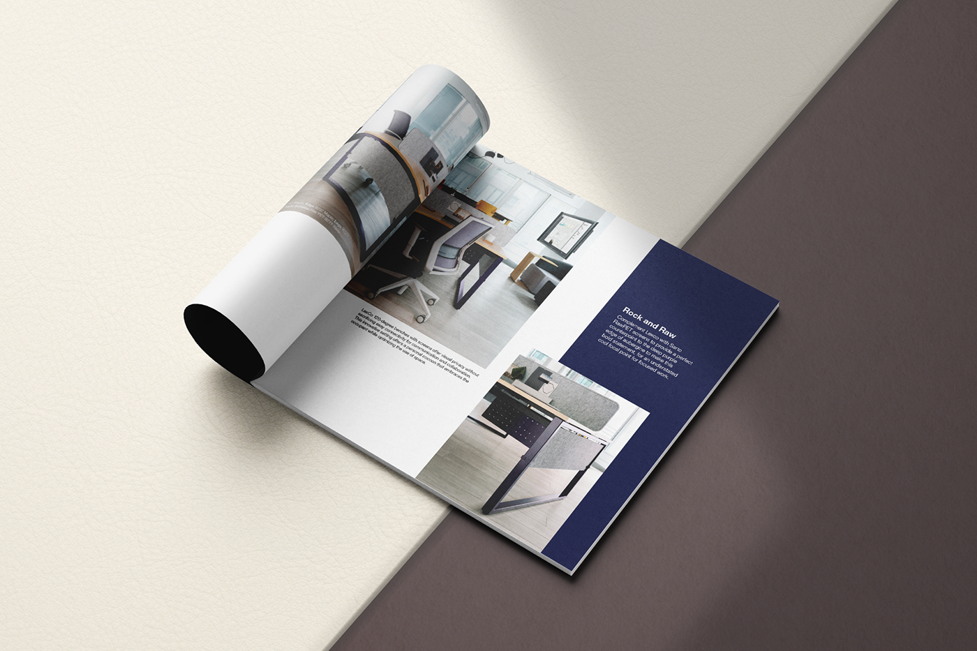 print design  Layout Design print production product brochure brochure print graphic design  editorial design  Layout