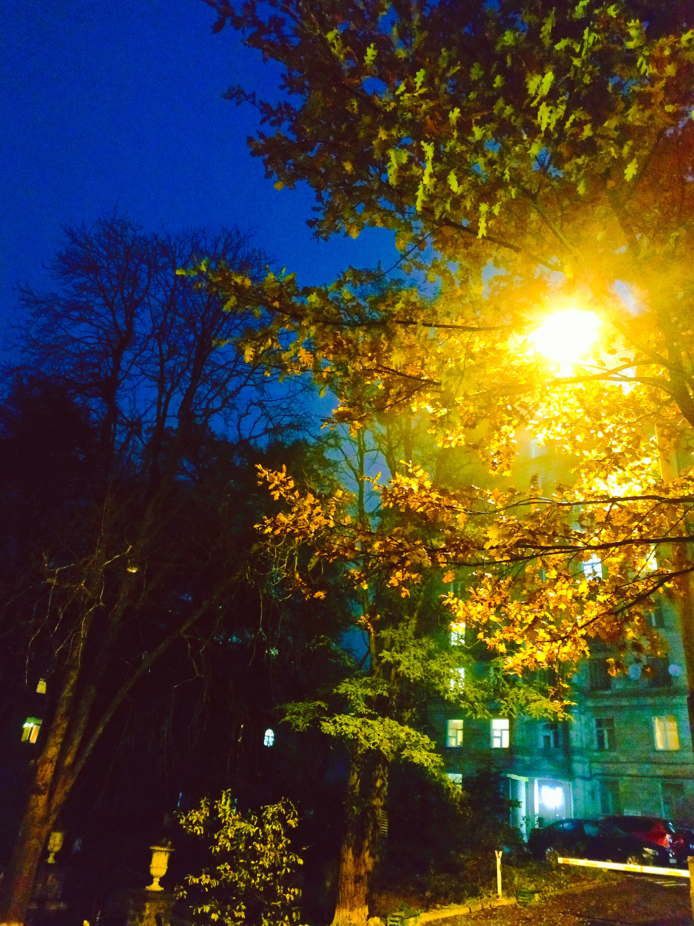 autumn evening kiev photo