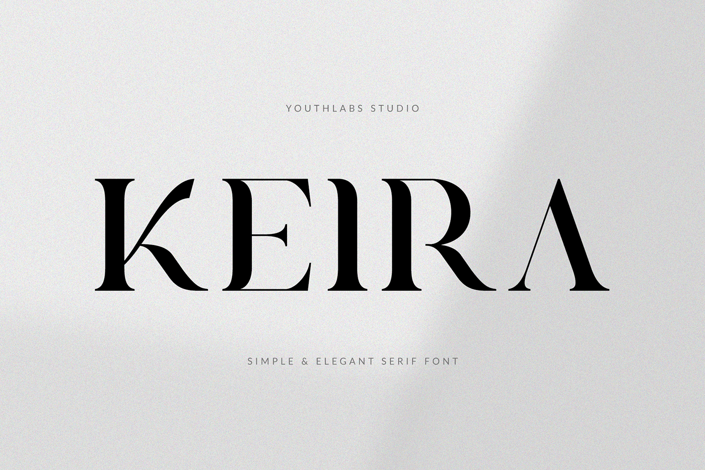 elegant font Free Download Font free font download Luxury Serif Font magnified font modern serif font Serif Font simple font stylish font stylish fonts