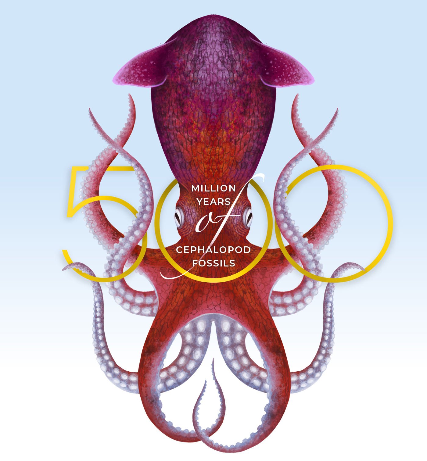 marine Fossil animal creature science paleontology Squid octopus history underwater