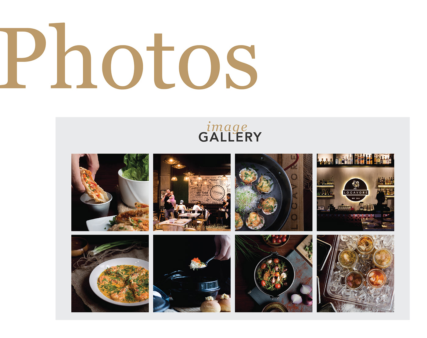 restaurant Web Design  Photography  food photography branding  food styling