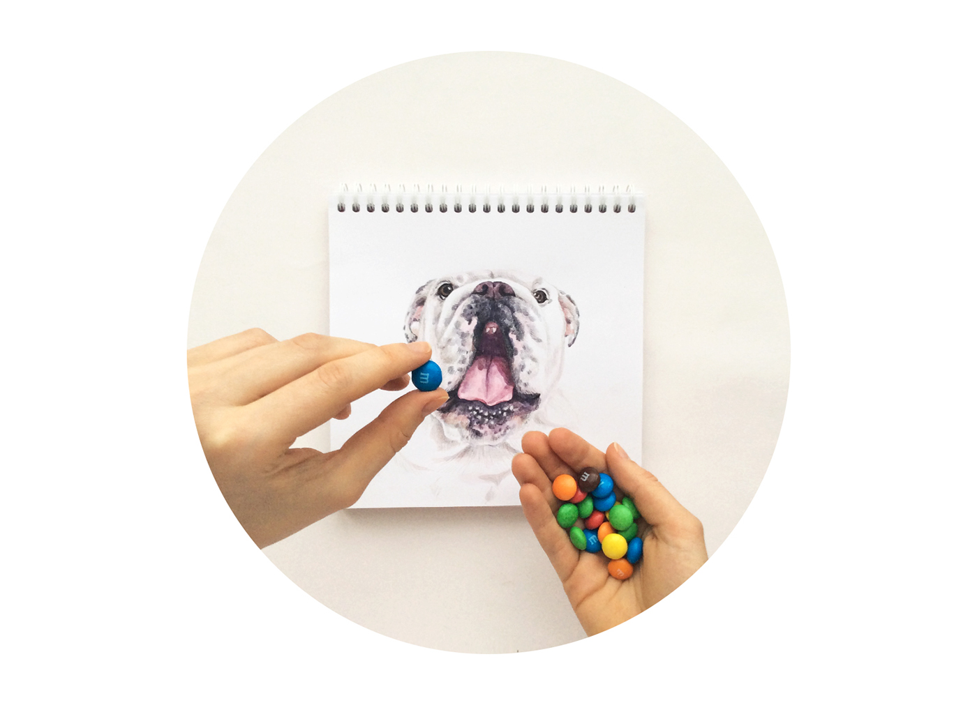 dog interactive dogs illustrations design watercolor photo hand Pet pets animal funny art artwork sketch
