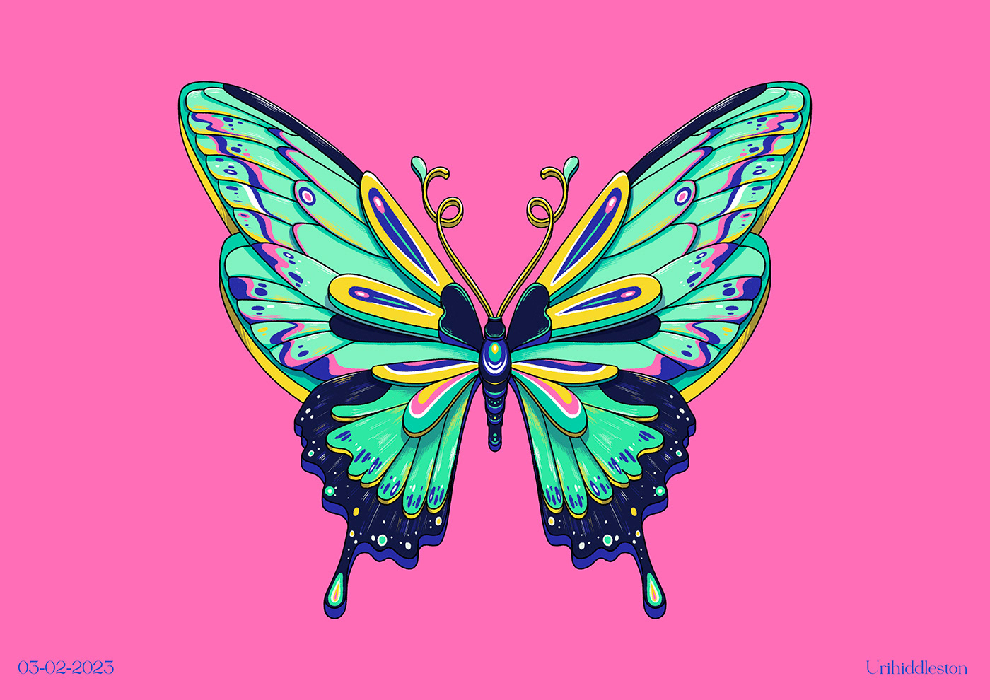 butterfly Procreate color art work