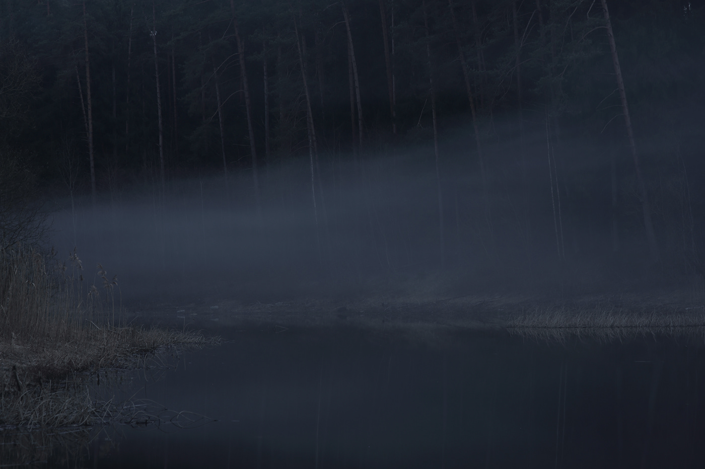 blue fog lietuva lithuania Mindaugas Buivydas mist mystery twilight