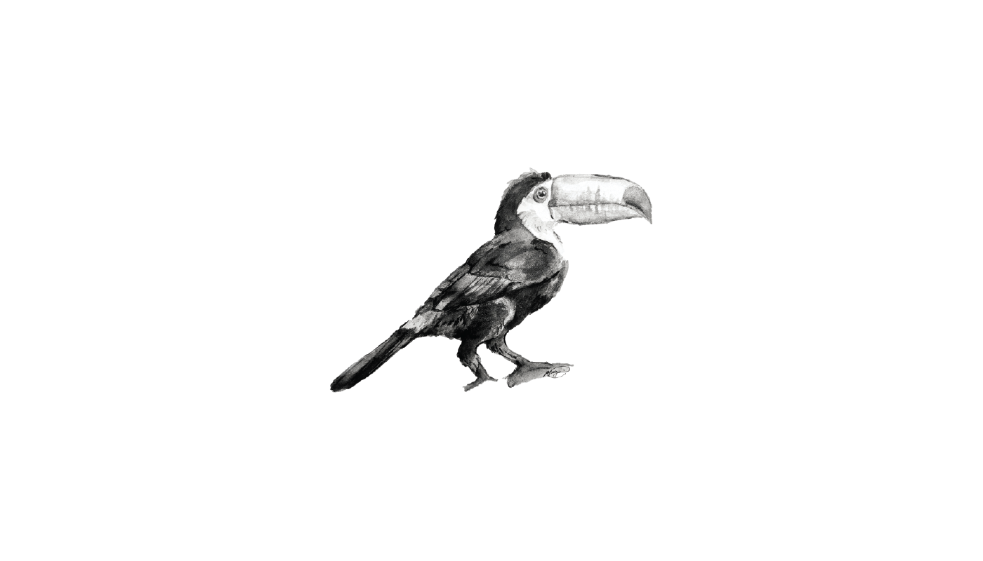 toucan animals logo