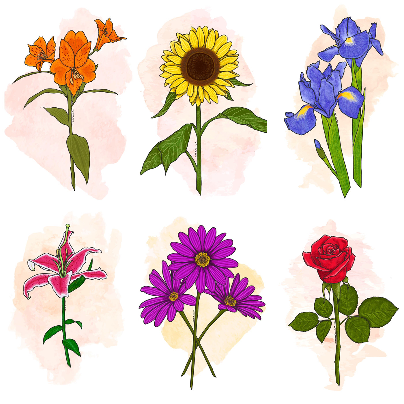 dibujo Digital Art  Drawing  floral floral art Flores flower art Flowers ILLUSTRATION  ilustracion