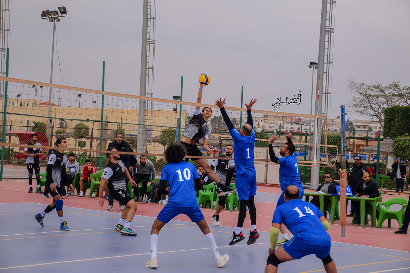 ball handball photo Photography  photoshoot sport sports photography