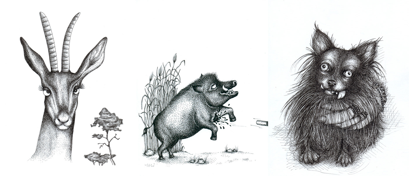 animales animals animaux book editorial fauna ilustracion ilustration libro Microrrelato