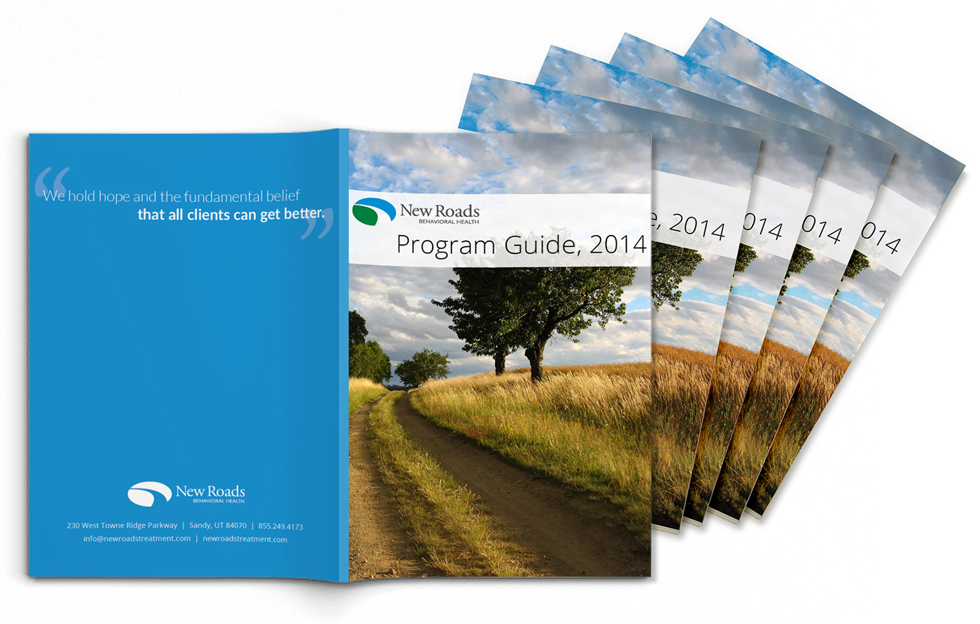 program guide Booklet Substance Abuse mental health