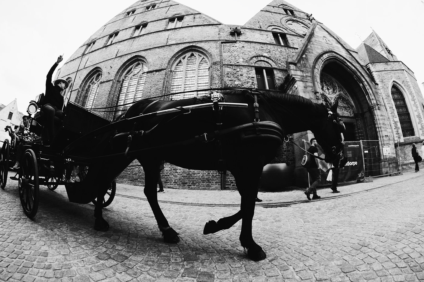 Photography  streetphotography blackandwhite Bike horses medieval brugge Brugges
