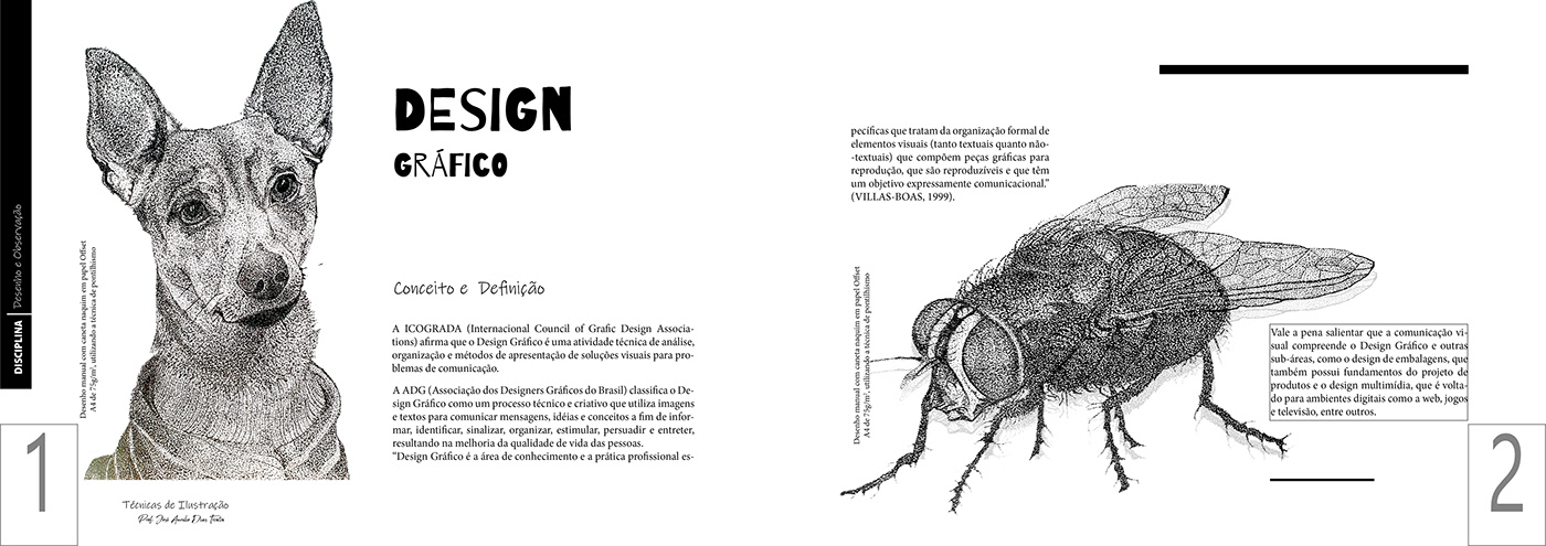 design gráfico diagramação magazine artwork Drawing  concept art handmade Digital Art 