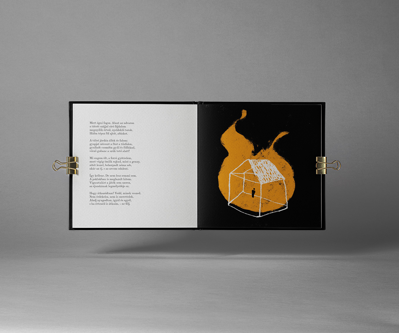 book design graphic graphic design  hungary illusztration kookillustration poemillustration