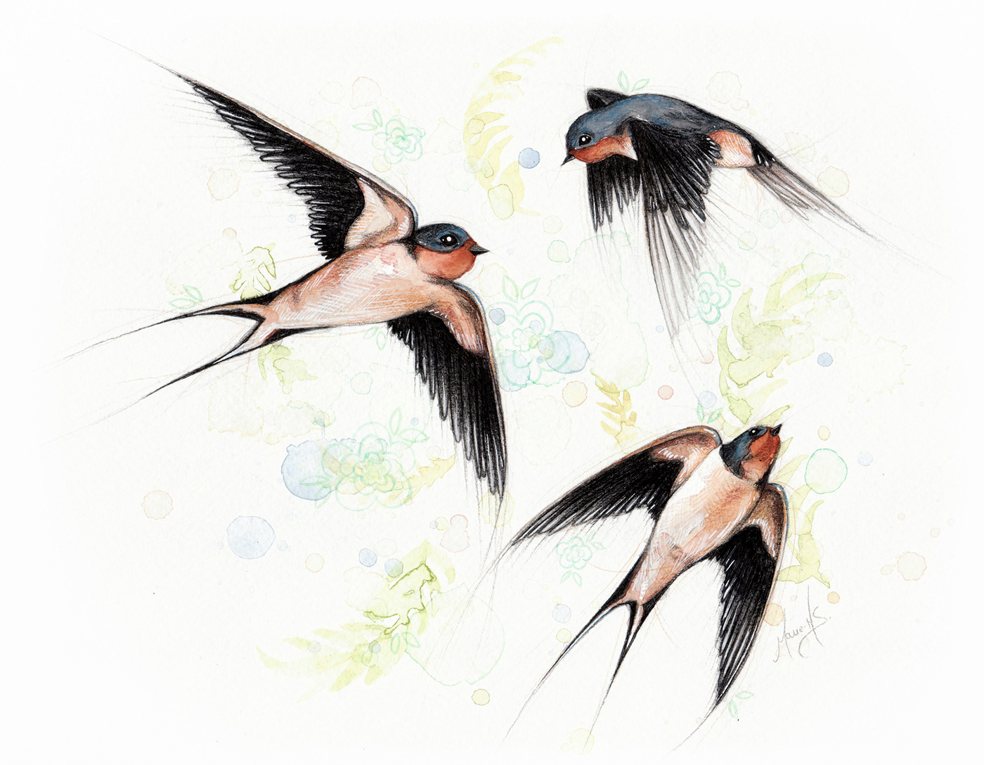 artwork birds ColorPencil Drawing  ILLUSTRATION  Nature painting   pensil watercolor wildlife