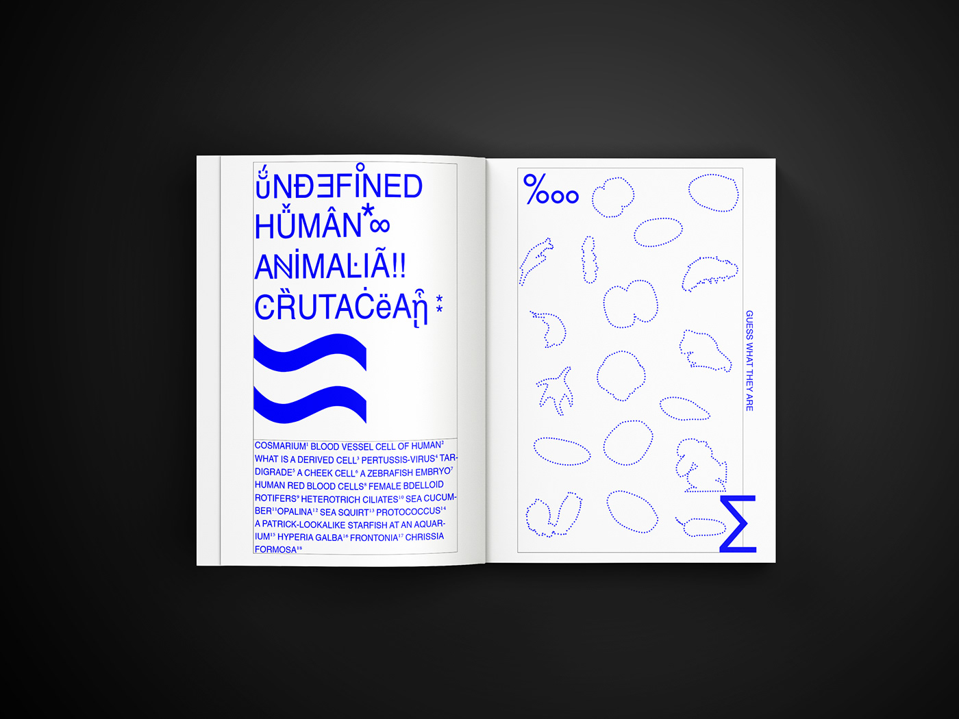 book e-book graphic graphic design  microscopic abstract Archive design editorial editorial design 