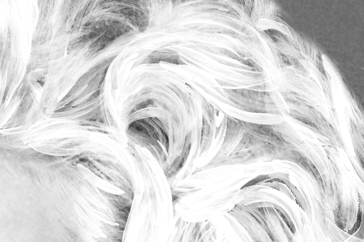 hair bed head hair illustration bead head tigi fashion photography black and white Portraiture labels neon edgy