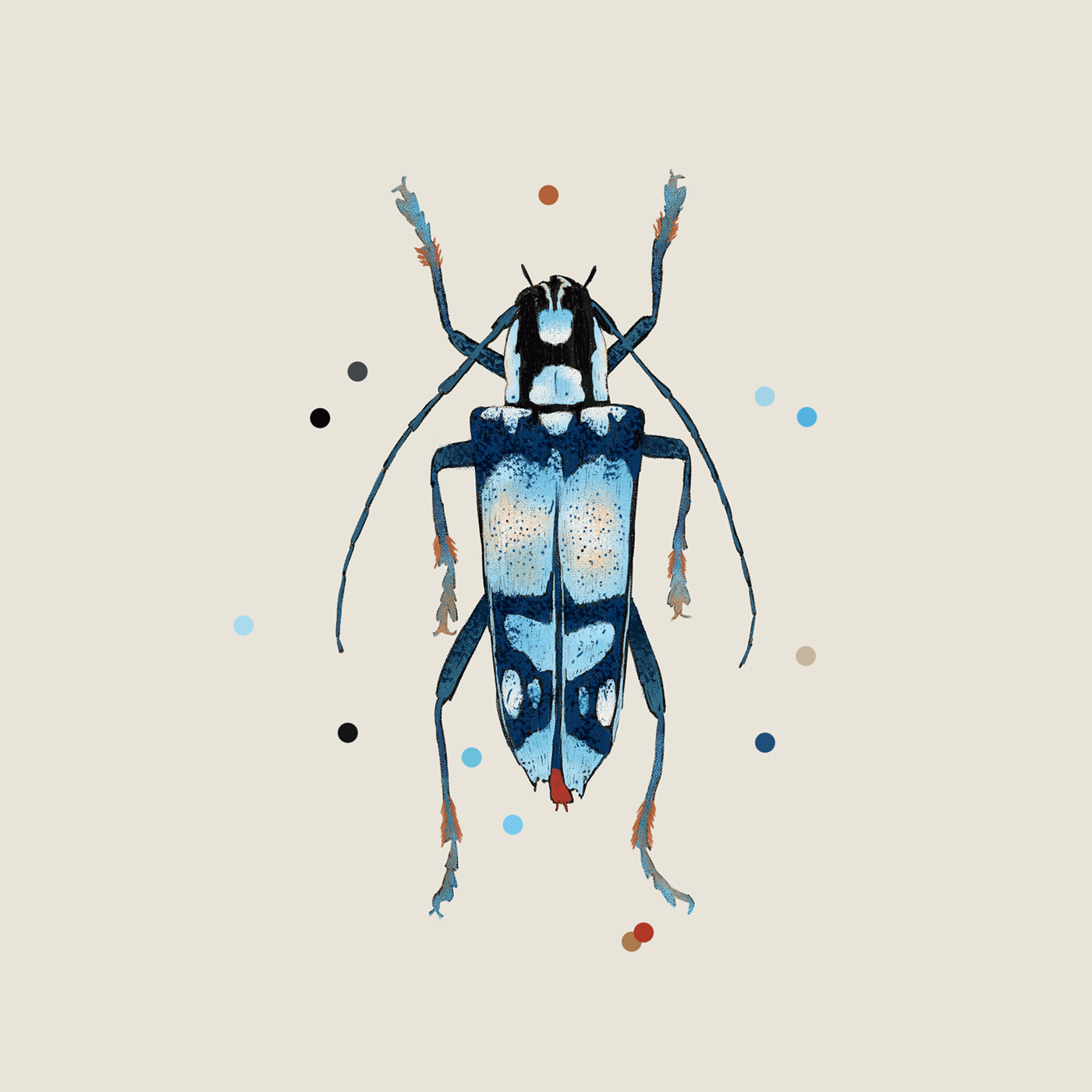 artwork beetle bug bugs Digital Art  Drawing  ILLUSTRATION  Insects Nature sketch