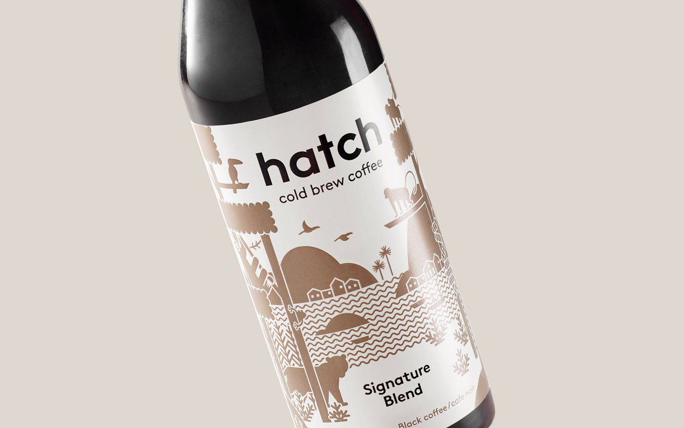 Packaging Coffee Cold Brew beverage food and drink branding  Vector Illustration ILLUSTRATION  art direction  Photography 