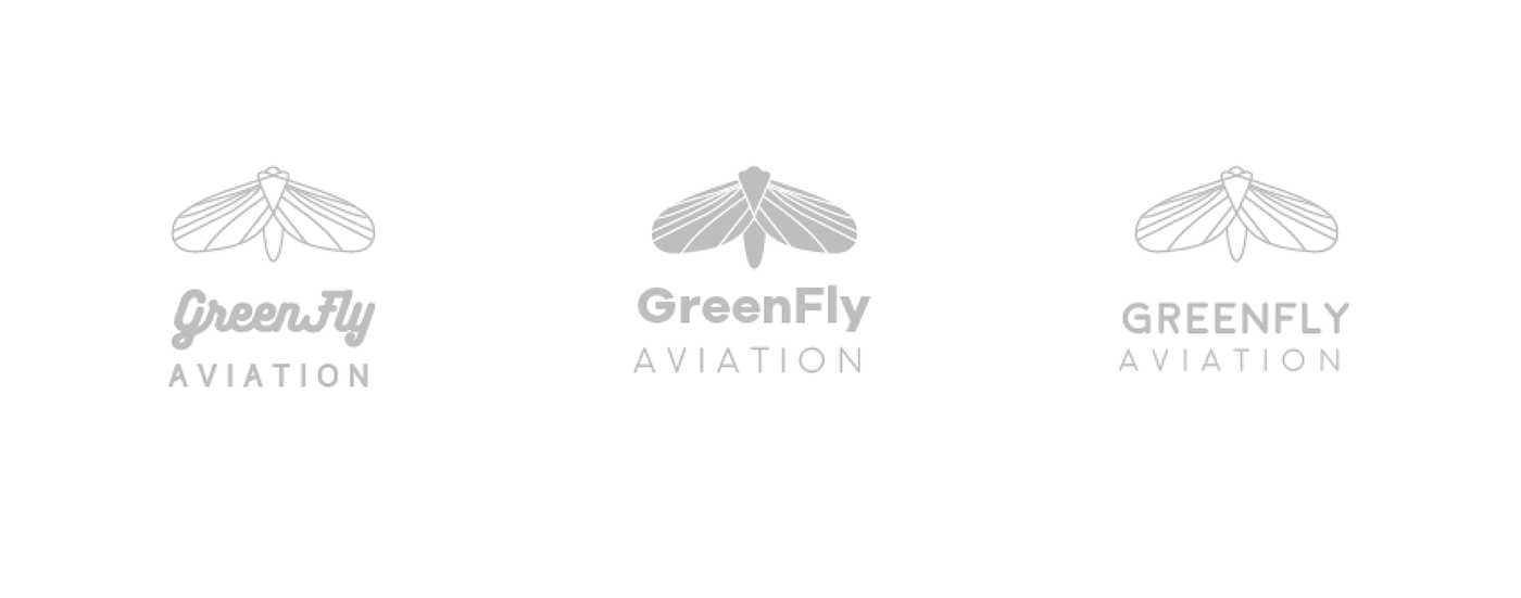 branding  logo graphic design  environmental eco friendly green insect airplane Fly geometric