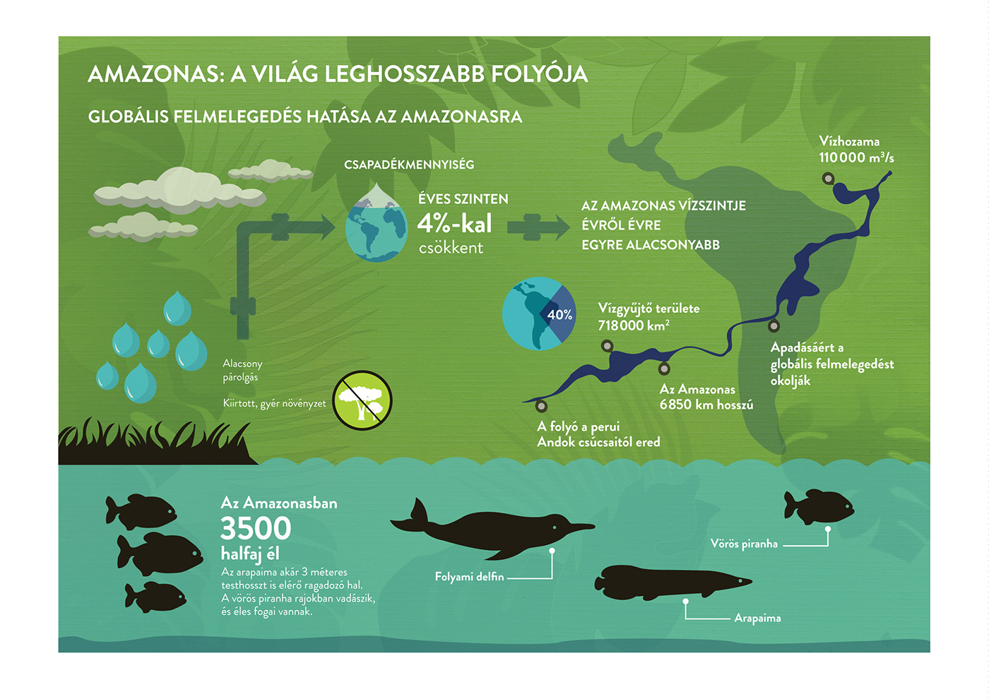 infographic amazonia Tropical Deforestation forest plants Amazonas river global warming