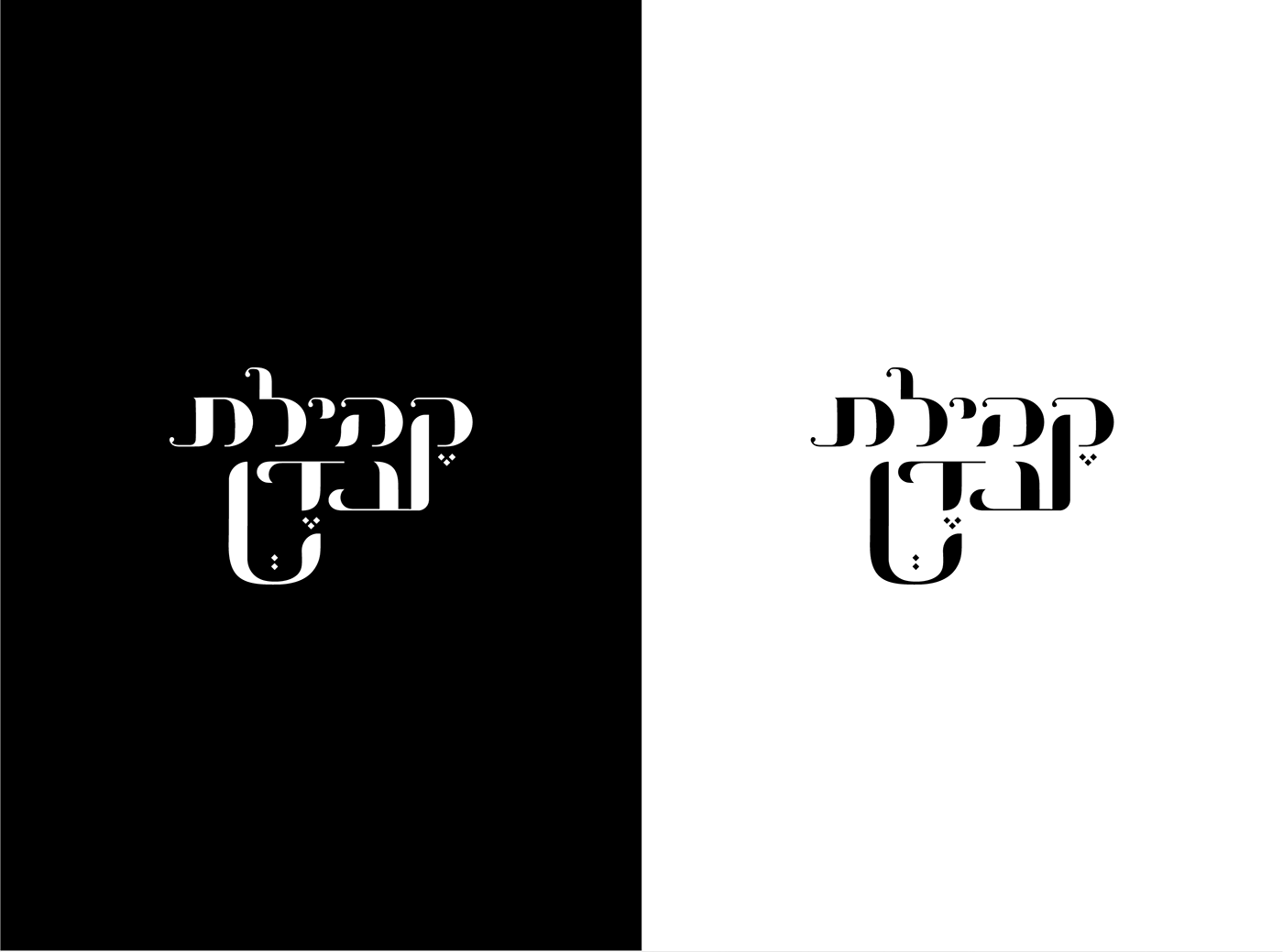 branding  Logo Design Logotype typography   visual identity