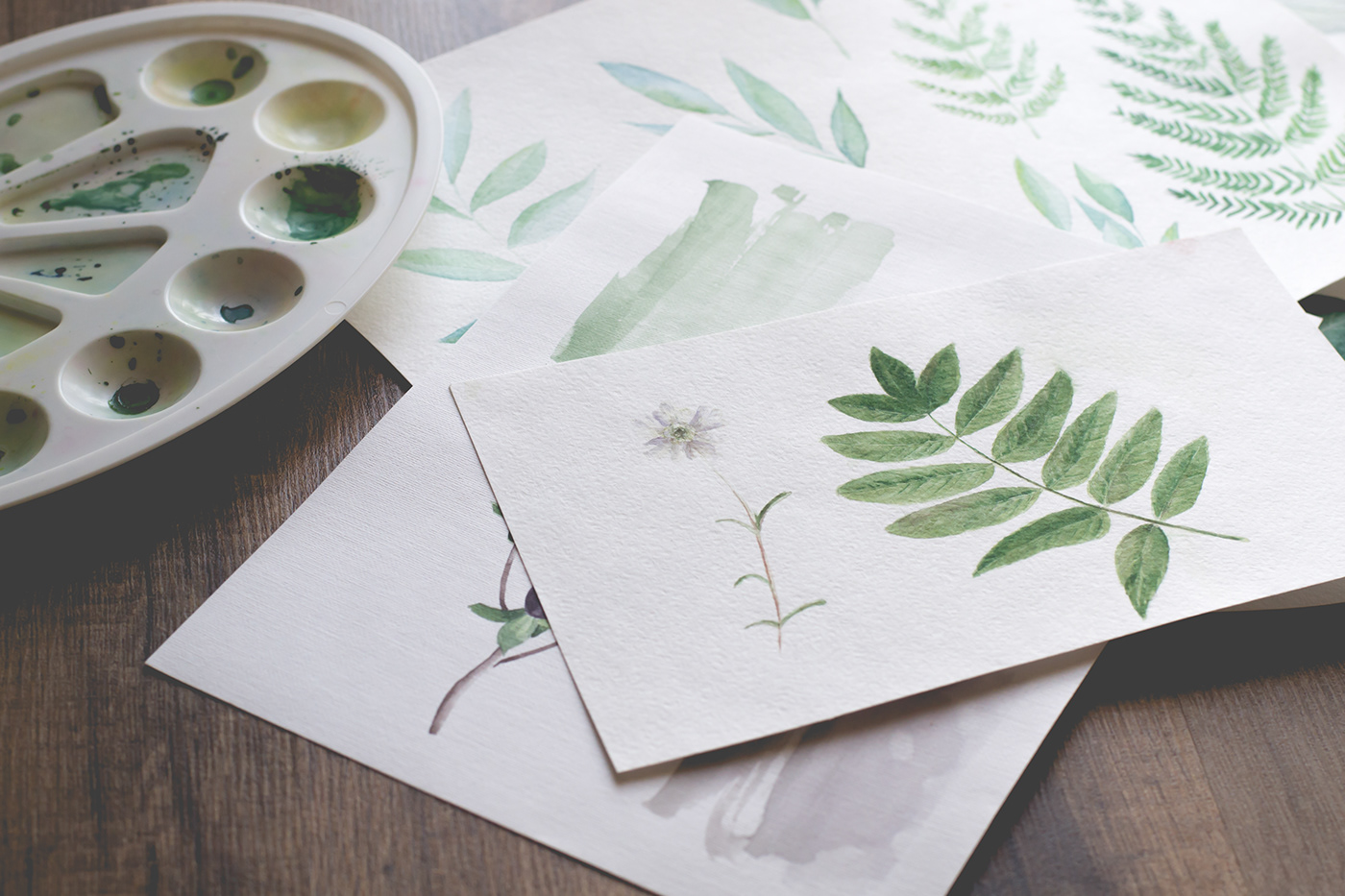 botanical floral green greenery handpainted Herb illustrations watercolor